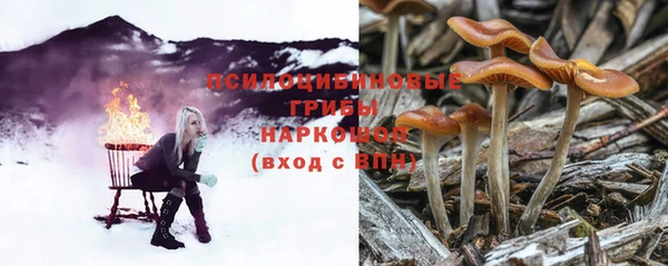 mix Армянск