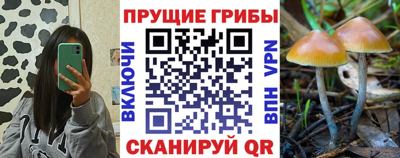 Галлюциногенные грибы Magic Shrooms  Копейск 