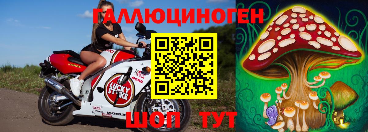 Копейск  Псилоцибиновые грибы Psilocybine cubensis  Вход с VPN  Галлюциногенные грибы ЛСД 