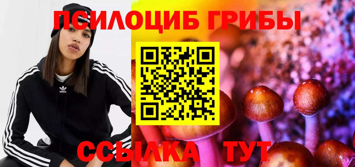 Галлюциногенные грибы Magic Shrooms Копейск